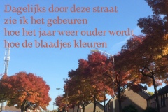 079-09-50-Herfst-03-11-2016-Femke-Reuvers