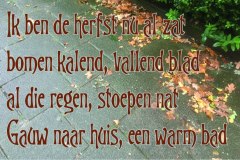 198-08-53-Herfst-10-10-2019-Femke-Reuvers