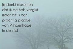 Vers in 't Aogje
