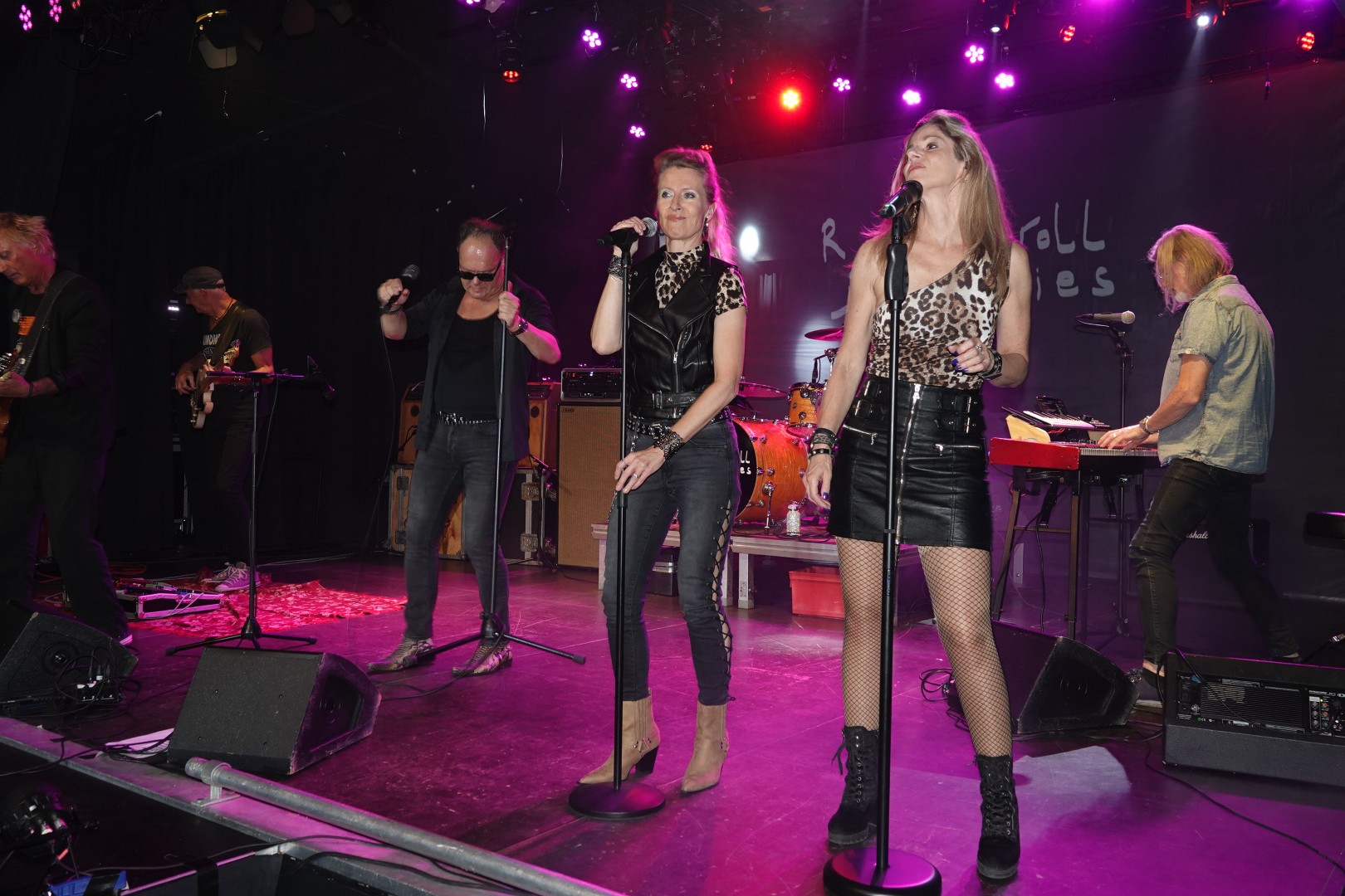 BuroBerbers, SCC De Koe, Princenhage activiteiten, Greatest Hits of the World, Golden Earring tribute, Herman Brood tribute