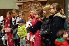 B.B.-Jeugdleut-installatie-11-11-2017-Foto-Corne-Wijnings-14