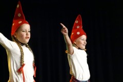 Jeugdraadverkiezing-18-11-2017-Foto-Corne-Wijnings-30-Groot