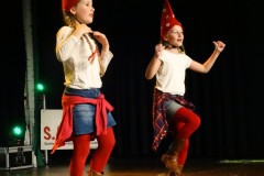 Jeugdraadverkiezing-18-11-2017-Foto-Corne-Wijnings-31-Groot