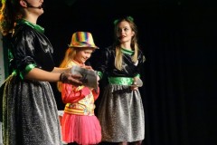 Jeugdraadverkiezing-18-11-2017-Foto-Corne-Wijnings-35-Groot