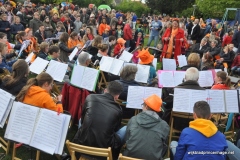 Koningsdag-27-04-2017-B-Foto-Armin-Floren-30