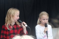 Rithse-Feest-29-09-2017-Foto-Ron-Schouwenaar-05