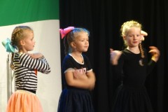 S.K.I.P.-got-talent-07-10-2017-Foto-Corne-Wijnings-23-Groot