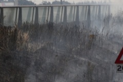 Bermbrand-A16-Afslag-Graaf-Engelbertlaan-droogte-21-07-2018-Foto-Corne-Wijnings-5
