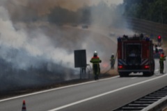 Bermbrand-A16-Afslag-Graaf-Engelbertlaan-droogte-21-07-2018-Foto-Corne-Wijnings-6