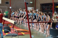 Fierdag-10-06-2018-Foto-Ron-Schouwenaar-04