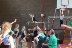 Fierdag-10-06-2018-Foto-Ron-Schouwenaar-18