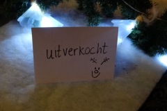 Kerstmarkt-De-Eerste-Rith-20-12-2018-Foto-Ron-Schouwenaar-21