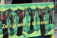 Optocht-03-03-2019-06