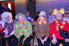 Rolstoelcarnaval-2019-23-02-2019-Foto-Corne-Wijnings-37