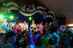 Rolstoelcarnaval-2019-23-02-2019-Foto-Corne-Wijnings-83