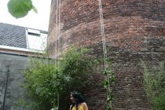 Pop-up-festival-06-2020-Foto-Margot-van-Es-15