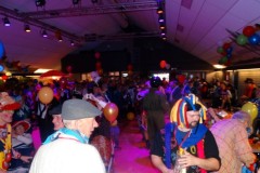 Rolstoelcarnaval-2020-De-Koe-15-02-2020-Foto-Corne-Wijnings-119-Medium