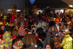 Rolstoelcarnaval-2020-De-Koe-15-02-2020-Foto-Corne-Wijnings-48-Medium