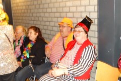 Rolstoelcarnaval-2020-De-Koe-15-02-2020-Foto-Corne-Wijnings-58-Medium