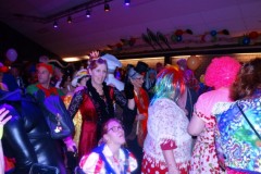 Rolstoelcarnaval-2020-De-Koe-15-02-2020-Foto-Corne-Wijnings-97-Medium
