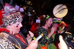 Vocaele-generaole-2020-de-koe-15-02-2020-Foto-Corne-Wijnings-72-Medium
