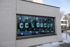 Gevelversiering-carnaval-2021-14-02-2021-Foto-Corne-Wijnings-19-Medium