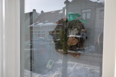 Gevelversiering-carnaval-2021-14-02-2021-Foto-Corne-Wijnings-27-Medium