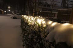 Sneeuw-in-Princenhage-07-02-2021-Foto-Corne-Wijnings-15-Groot