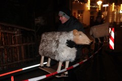 Kerststal-geopend-17-12-2022-Foto-Corne-Wijnings-6