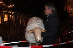 Kerststal-geopend-17-12-2022-Foto-Corne-Wijnings-7
