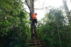 Koningsdag-Dorpswei-2023-27-04-2023-14