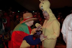 Rolstoelcarnaval-2023-11-02-2023-Foto-Corne-Wijnings-16
