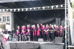 Jubileumweekend-SCC-De-Koe-31-08-2024-Foto-Corne-Wijnings-11