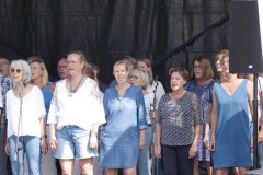 Jubileumweekend-SCC-De-Koe-31-08-2024-Foto-Corne-Wijnings-18
