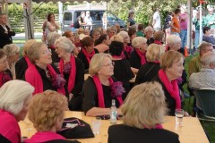 Jubileumweekend-SCC-De-Koe-31-08-2024-Foto-Corne-Wijnings-24