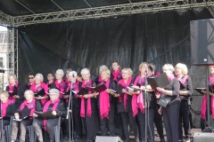 Jubileumweekend-SCC-De-Koe-31-08-2024-Foto-Corne-Wijnings-3