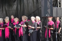 Jubileumweekend-SCC-De-Koe-31-08-2024-Foto-Corne-Wijnings-4