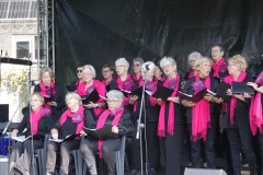 Jubileumweekend-SCC-De-Koe-31-08-2024-Foto-Corne-Wijnings-5