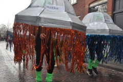 Optocht-11-02-2024-Foto-Armin-Floren-10