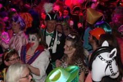 Vrouwkesbal-2025-27-02-2025-Foto-Corne-Wijnings-45