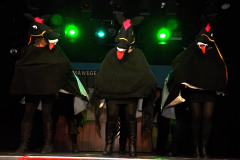 2_Aogse-Avonden-2015-11