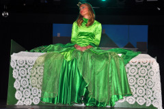 2_Aogse-Avonden-2015-13