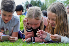 Koningsdag-2015-25