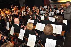 Nieuwjaarsconcert 2015