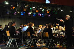 Nieuwjaarsconcert-2015-24