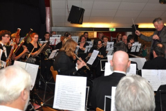 Nieuwjaarsconcert-2015-31