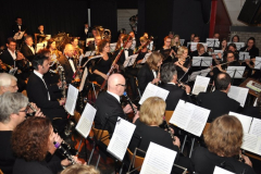 Nieuwjaarsconcert-2015-32