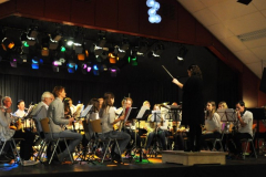 Nieuwjaarsconcert-2015-5