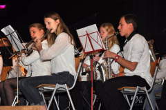Nieuwjaarsconcert-2015-8