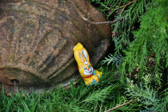 Paasactiviteit-SKIP-2015-9